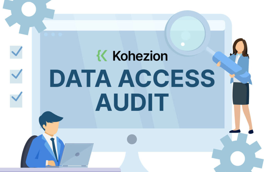 data access audit