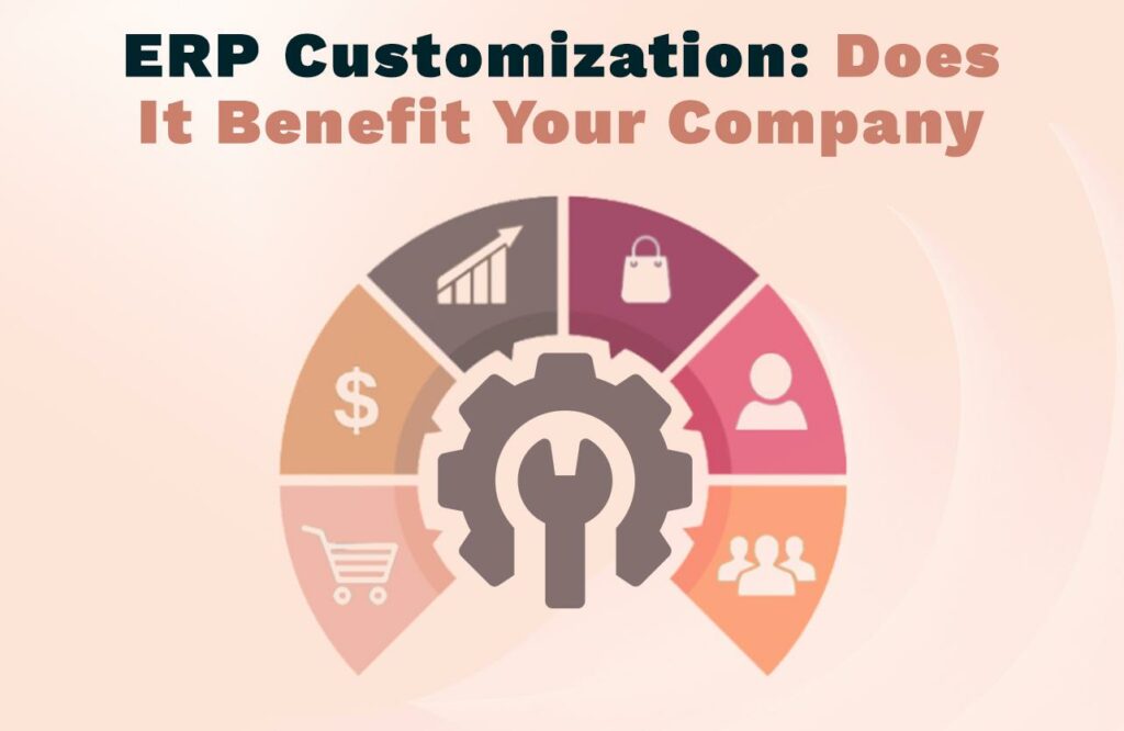 erp customization